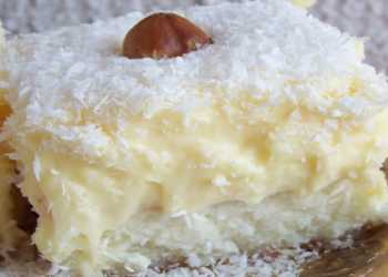 Blitz Kokoskuchen mit Vanillepudding