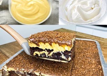 Zergeht auf der Zunge, Schokotraum mit Vanillepudding