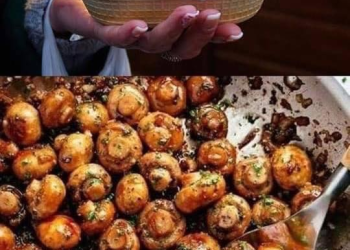 Champignons wie vom Jahrmarkt