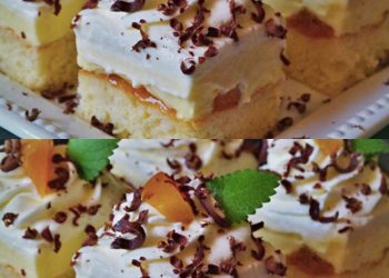 Leckere Schnitten – FLORIDA