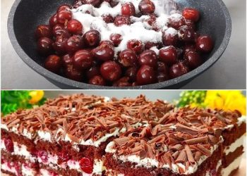 Magisch leckerer Kuchen für Weihnachten – Einfach unwiderstehlich