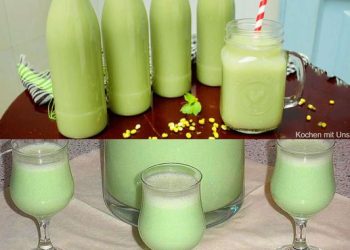 Nicht zu viel trinken es besteht Suchtgefahr „Froschkotze“ ganz gefährliches Zeug