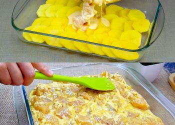 Hähnchen Kartoffel Gratin, besser geht’s nicht!