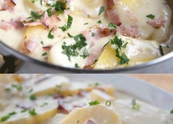 BECHAMEL KARTOFFELN
