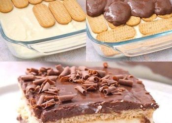 Schoko Pudding Dessert: Jeder wird es lieben!