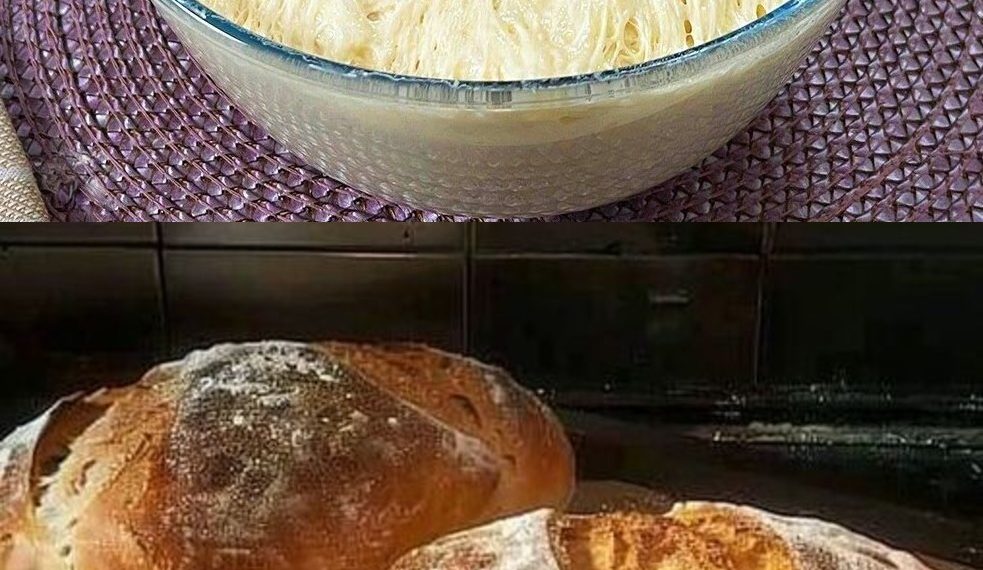 Ich kaufe kein Brot mehr, Ich backe es zweimal pro Woche!