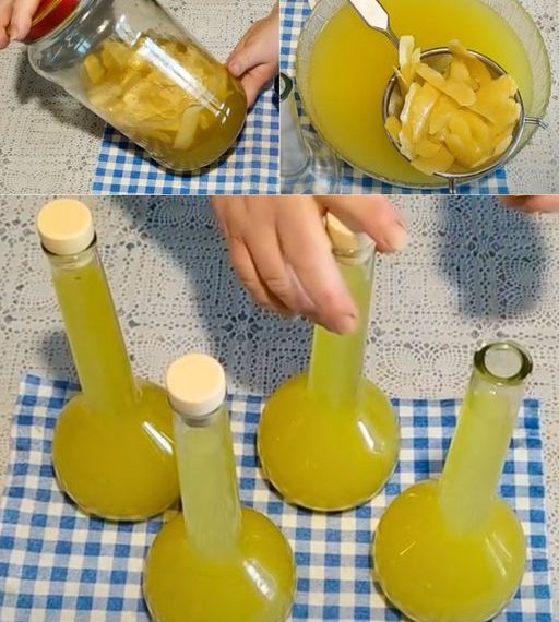 Mit 10 Zitronen können Sie ein perfektes Limoncello zubereiten