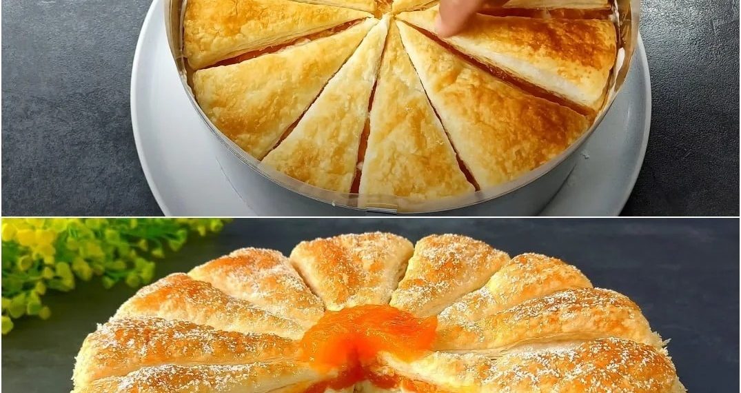 Aprikosenkuchen erfrischend, cremig und so lecker!