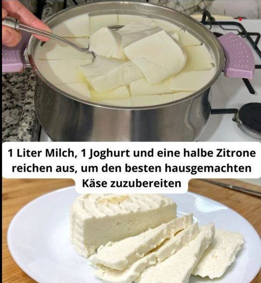 1 Liter Milch, 1 Joghurt und eine halbe Zitrone reichen aus, um den besten hausgemachten Käse zuzubereiten