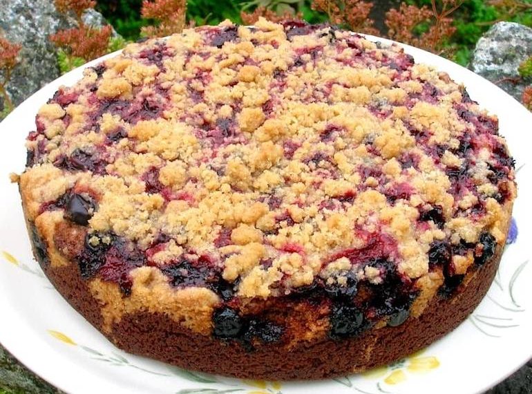 Saftiger Zwetschgenkuchen mit Zimtstreuseln und Quark Öl Teig: Der ist einfach Perfekt!