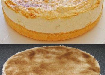 Apfel Mascarpone Torte mit 500 g Magerquark in 20 Minuten gebacken