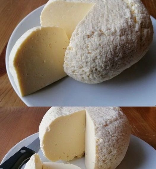 1 Liter Milch, 1 Joghurt und eine halbe Zitrone reichen aus, um den besten hausgemachten Käse zuzubereiten