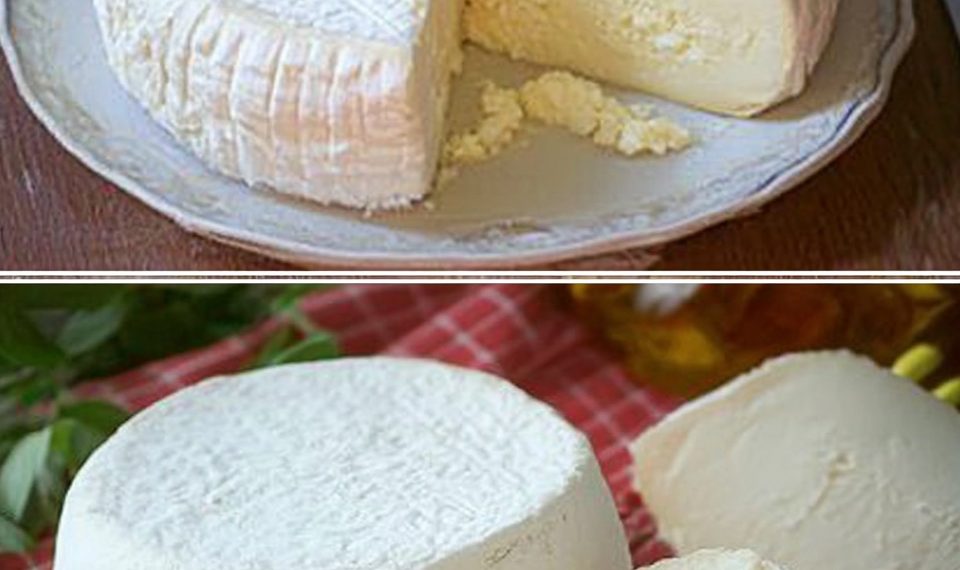 Besten Hausgemachten Käse Zuzubereiten