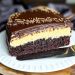 Schokotraum Kuchen mit Vanillepudding