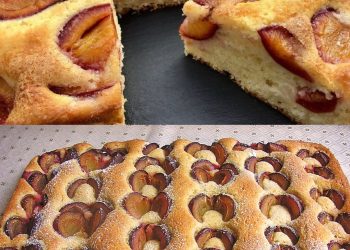 Zwetschgenkuchen