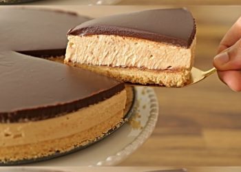 Ich bin begeistert, die ist sooooo lecker! – Nutella Torte ohne Backen