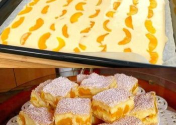 Ich konnte ihn täglich essen, 12 Esslöffel Blechkuchen der jeden anderen schlagt!
