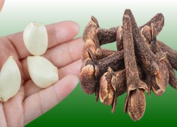 Die Tugenden der Mischung aus Nelken, Knoblauch und Honig
