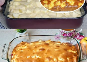 10 Minuten Blitz Apfelkuchen sowas von lecker