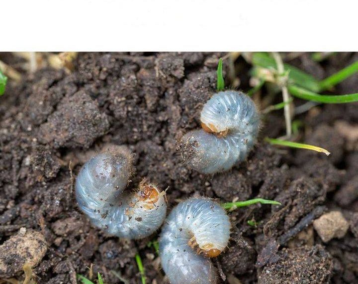 Hell! Ich wünschte, ich hätte das früher gelesen!