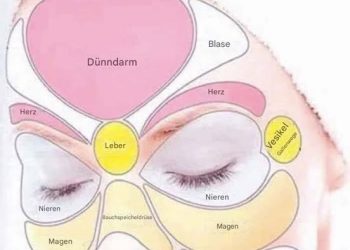 Face Mapping: Was Ihre Haut über Ihre Gesundheit verrät