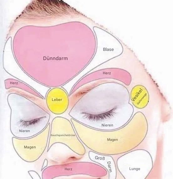 Face Mapping: Was Ihre Haut über Ihre Gesundheit verrät