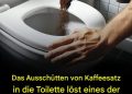 Das Einfüllen von Kaffeesatz in die Toilette löst eines der größten Probleme in Toiletten