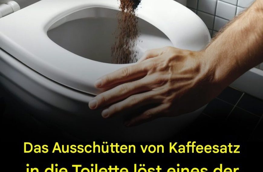 Das Einfüllen von Kaffeesatz in die Toilette löst eines der größten Probleme in Toiletten