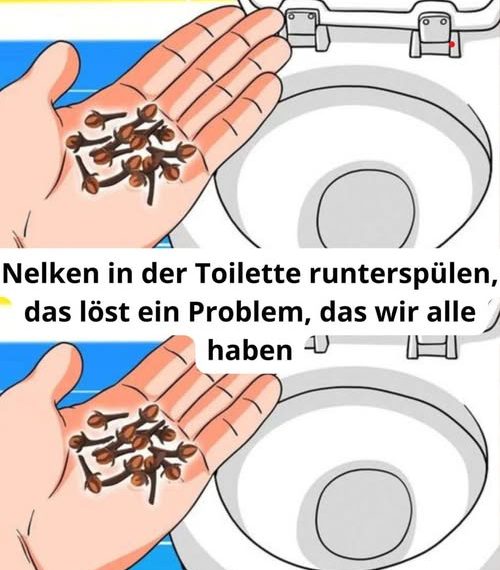 Nelken in der Toilette runterspülen, das löst ein Problem, das wir alle haben