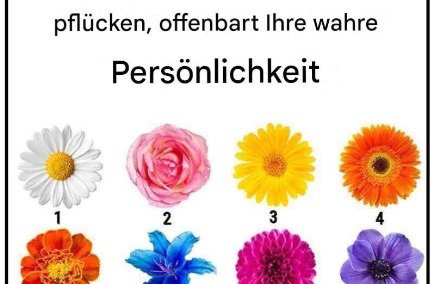Kein Geschwätz. Die Blume, die Sie pflücken, offenbart Ihren wahren Charakterzug
