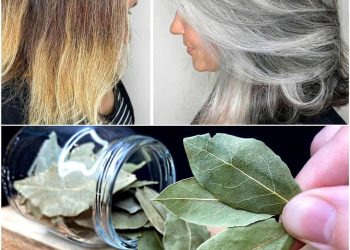 Geben Sie Ihrem Haar in wenigen Minuten seinen natürlichen Glanz zurück: Eine DIY-Glanzspülung