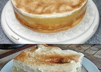 Jugoslawischer Apfelkuchen