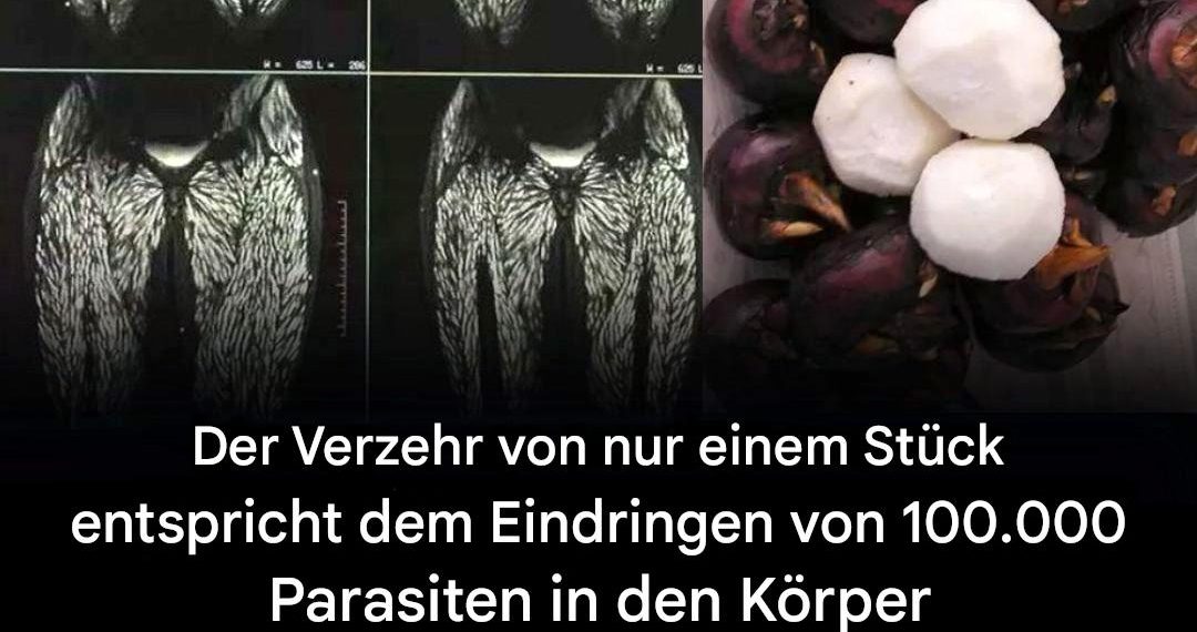 Schon ein einziger Bissen ist schädlich, dennoch essen viele ihn ohne Bedenken