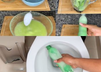 DER FLASCHENTRICK, UM IMMER EIN SAUBERES BAD ZU HABEN: 1 MONAT LANG NICHT BERÜHRT