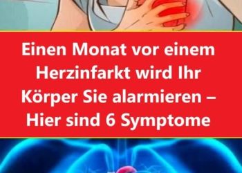 Unmittelbar vor einem Infarto – Du warst alarmiert – Es sind 6 Monate vergangen