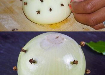 Meine Großmutter steckt immer Nelken in eine Zwiebel: hier ist der Grund