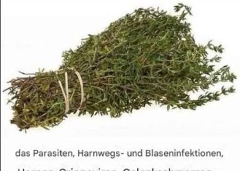 Natürliche Unterstützung im Kampf gegen Krebs