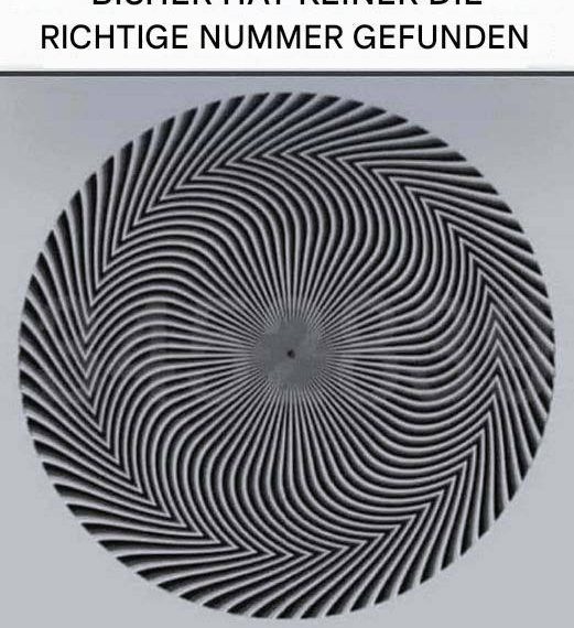 Diese optische Täuschung offenbart eine versteckte Zahl und jeder sieht sie anders