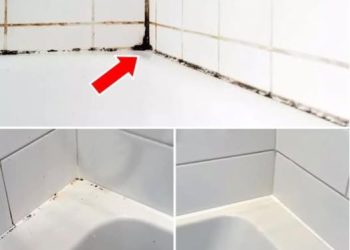 Silikonfugen von Schimmel befreien: So funktioniert’s