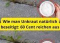 Wie man Unkraut natürlich beseitigt: 60 Cent reichen aus