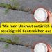 Wie man Unkraut natürlich beseitigt: 60 Cent reichen aus
