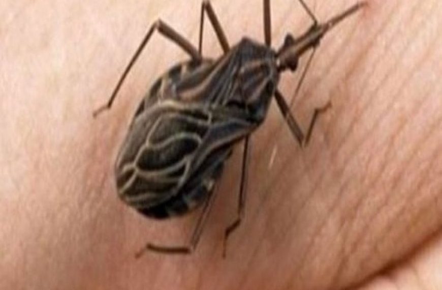 wenden Sie sich sofort an einen Spezialisten.