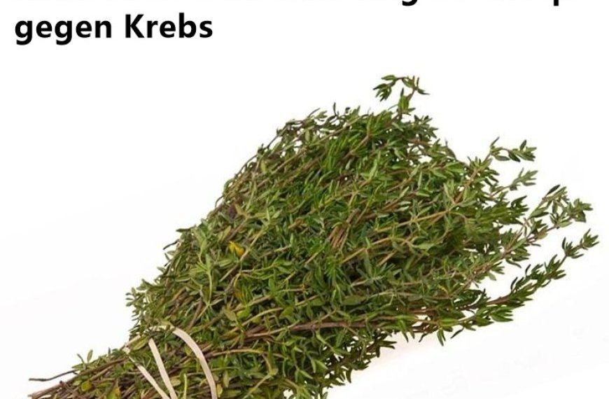 Natürliche Unterstützung im Kampf gegen Krebs