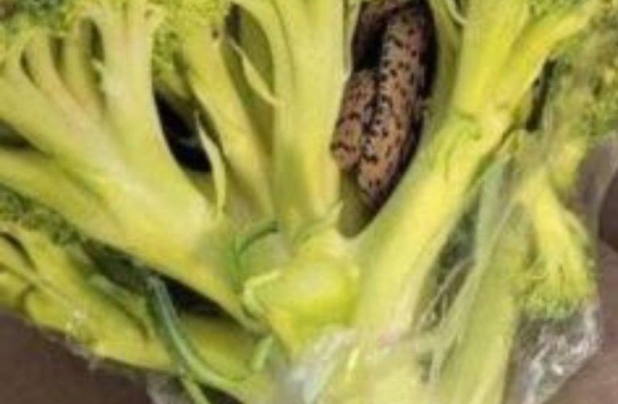 Überraschender Fund: