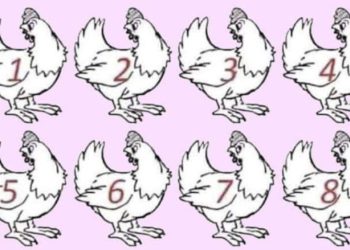 BIST DU EIN GENIE? NIEMAND KANN FESTSTELLEN, WELCHES HUHN ANDERS IST