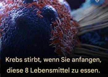 8 wirksame Anti-Krebs-Lebensmittel, die Sie in Ihre Ernährung aufnehmen solltenn: