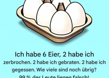 Entdecken Sie das Geheimnis der verschwundenen Eier