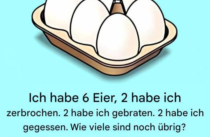Entdecken Sie das Geheimnis der verschwundenen Eier