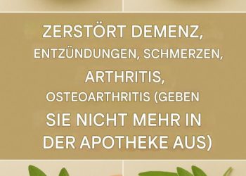 Salbei: Ein natürliches Heilmittel für die Gesundheit des Gehirns, Entzündungen und Gelenkschmerzen