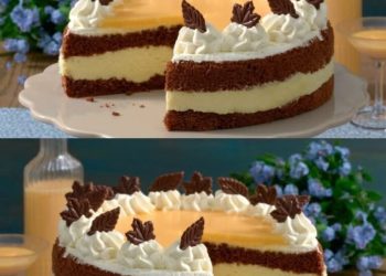 Herrliche eierlikor schoko torte